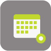 Daily Manufacturing / Production